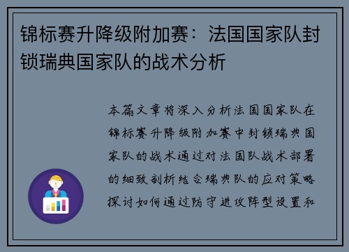 锦标赛升降级附加赛：法国国家队封锁瑞典国家队的战术分析